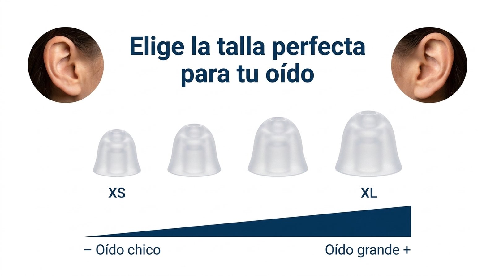 Elige la talla perfecta: 4 domos de XS a XL